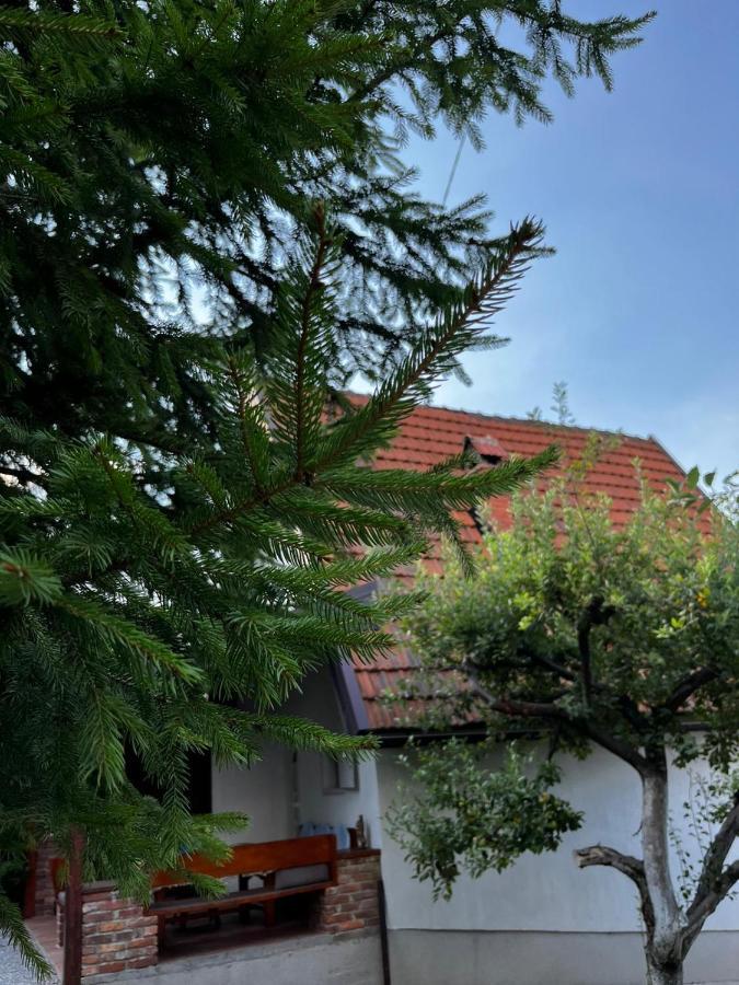 Holiday Home Amila Visoko Exterior photo